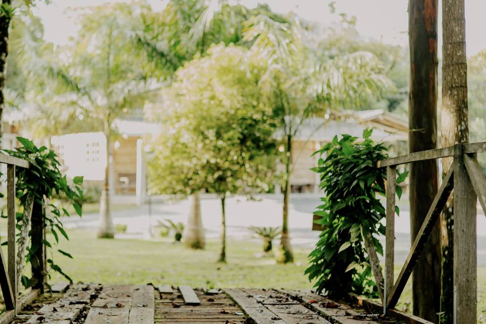 Ponte
