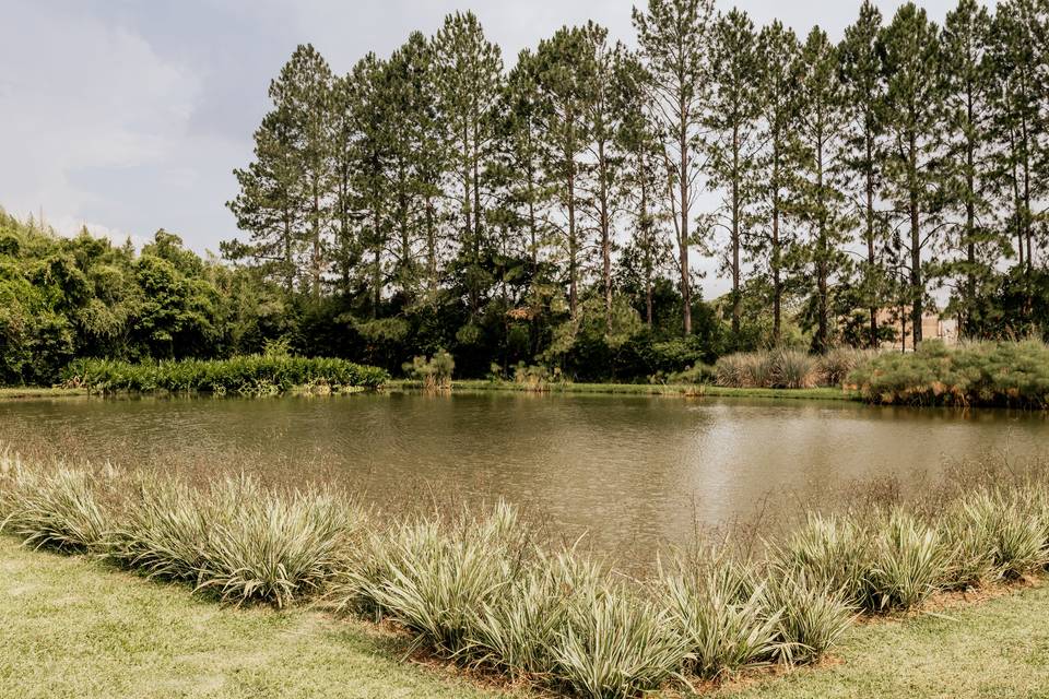 Lago