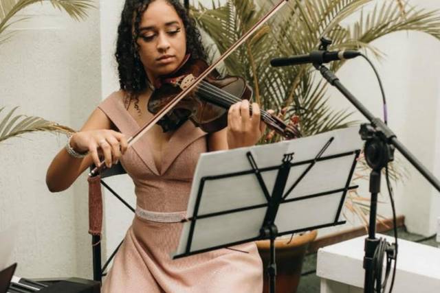 Violino