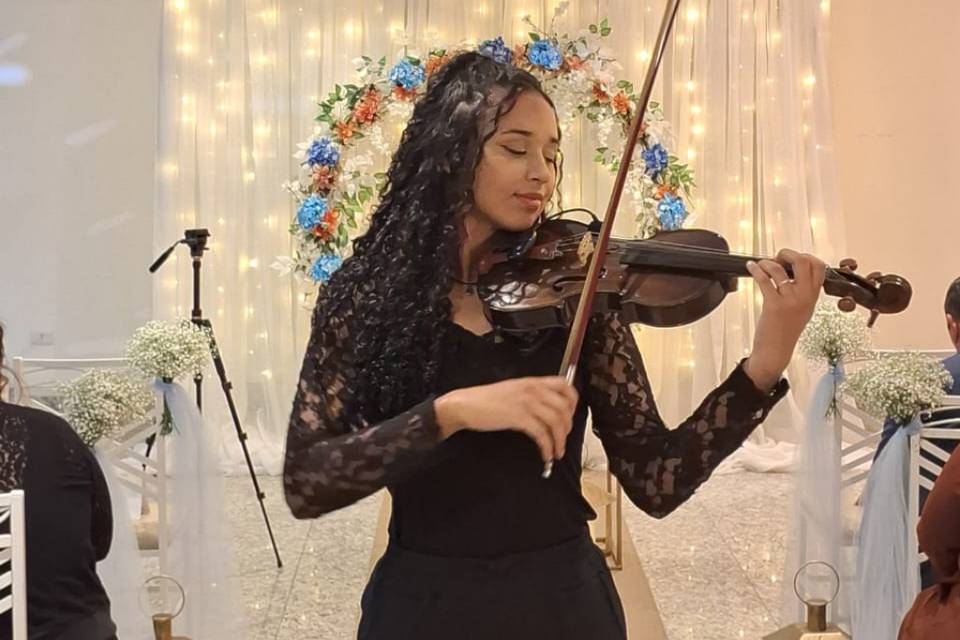 Violino