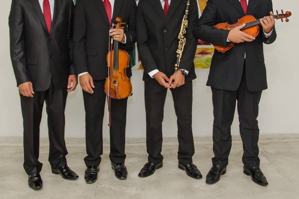 Max violinos