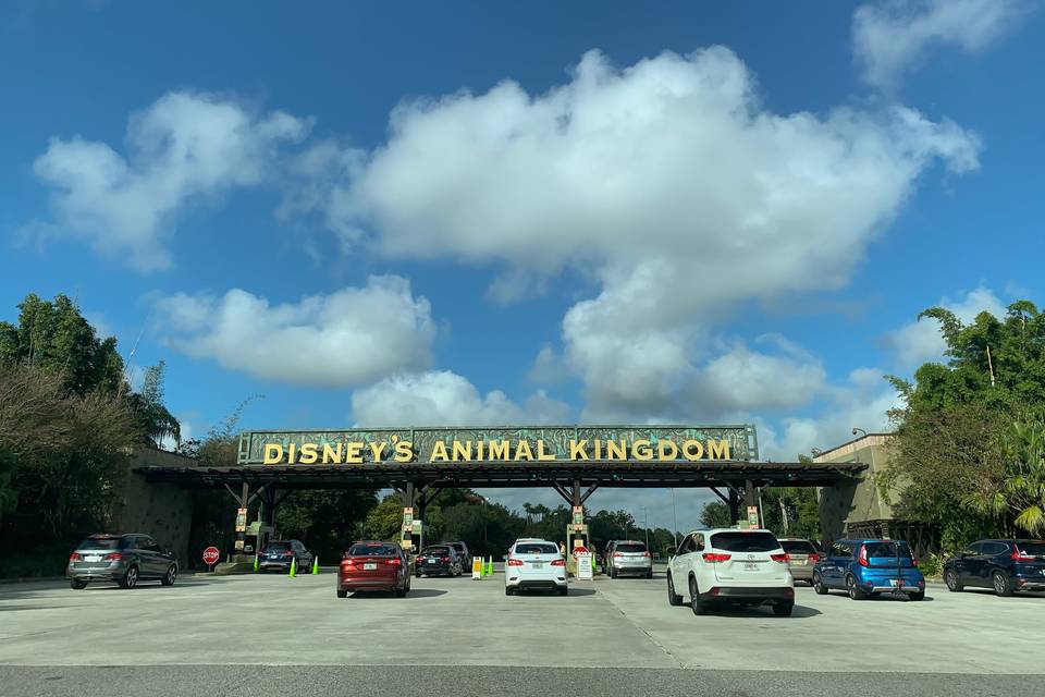 Animal kingdom