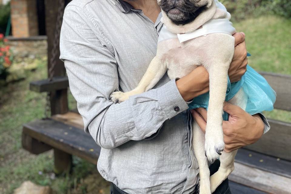 Assessoria Pet