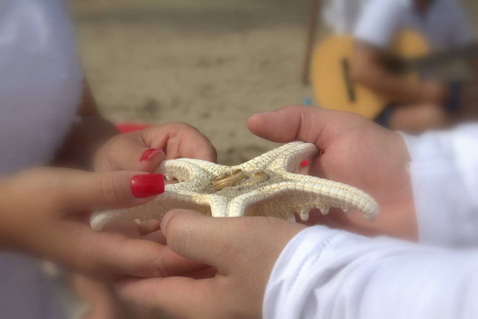 Casamento na Praia