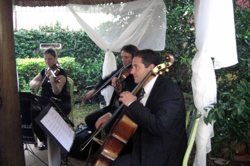 Trio de cordas ao ar livre