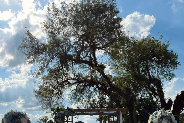 Cerimônia