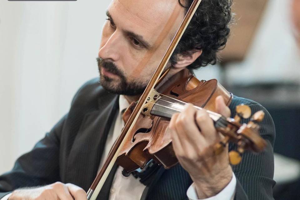Violinista Madrigal