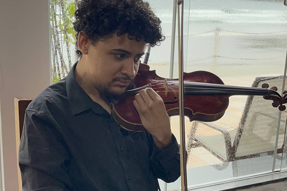 Violino