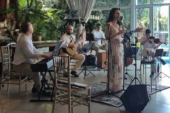 FM Sonorização