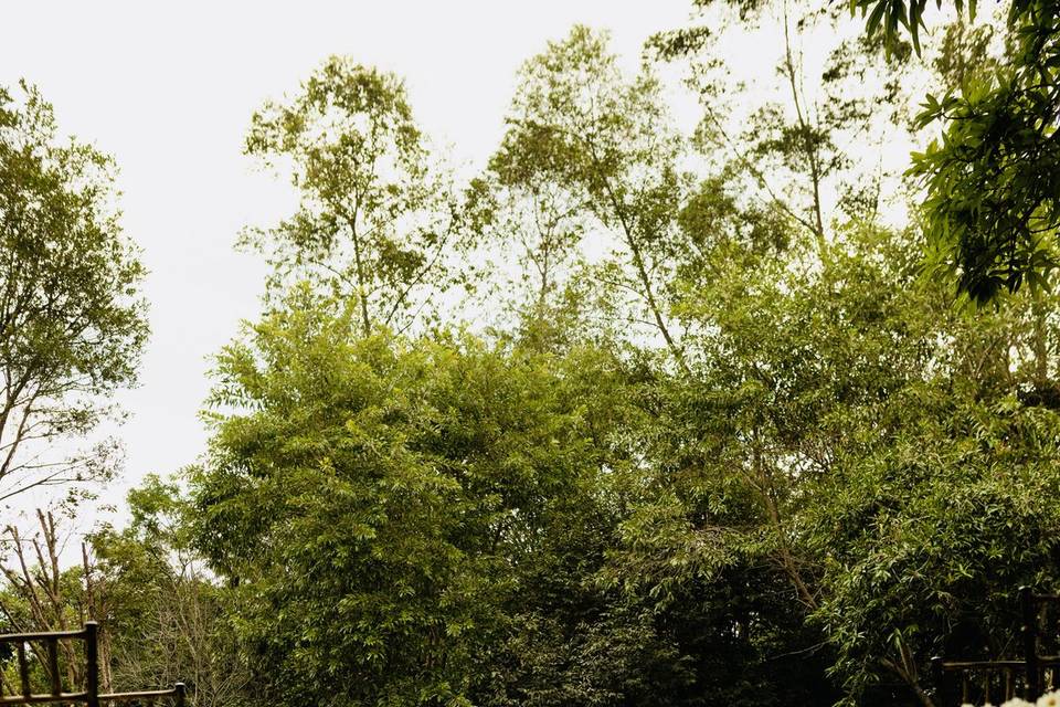Área Verde para Cerimônias