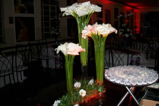 Flores frescas
