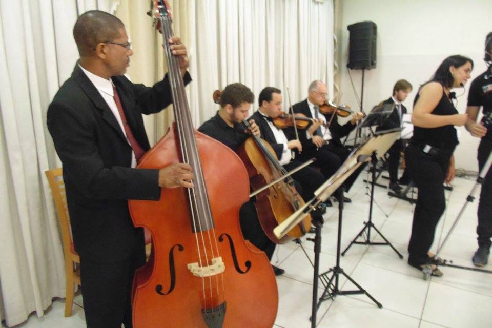 Quarteto de Cordas- Evangélico