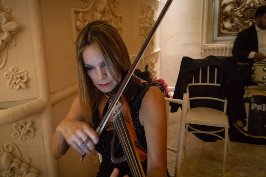 Violino