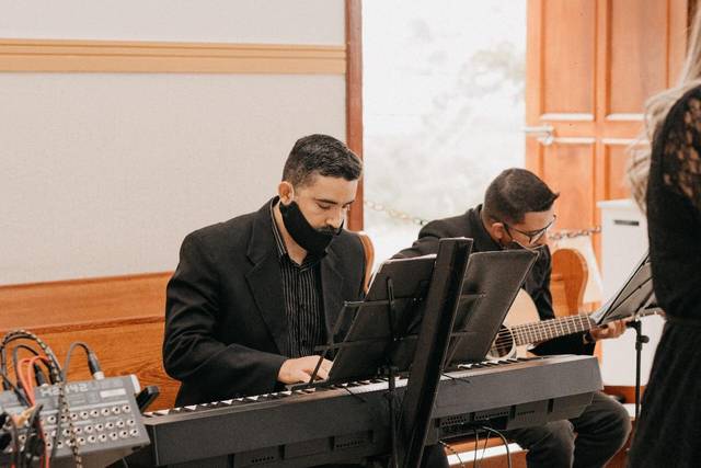 Músicos de qualidade