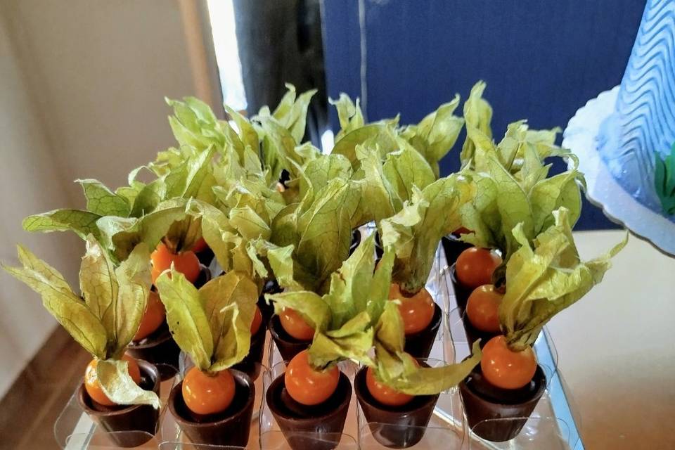 Copinho trufado com physalis
