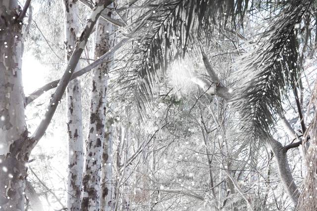 Neve nos trópicos