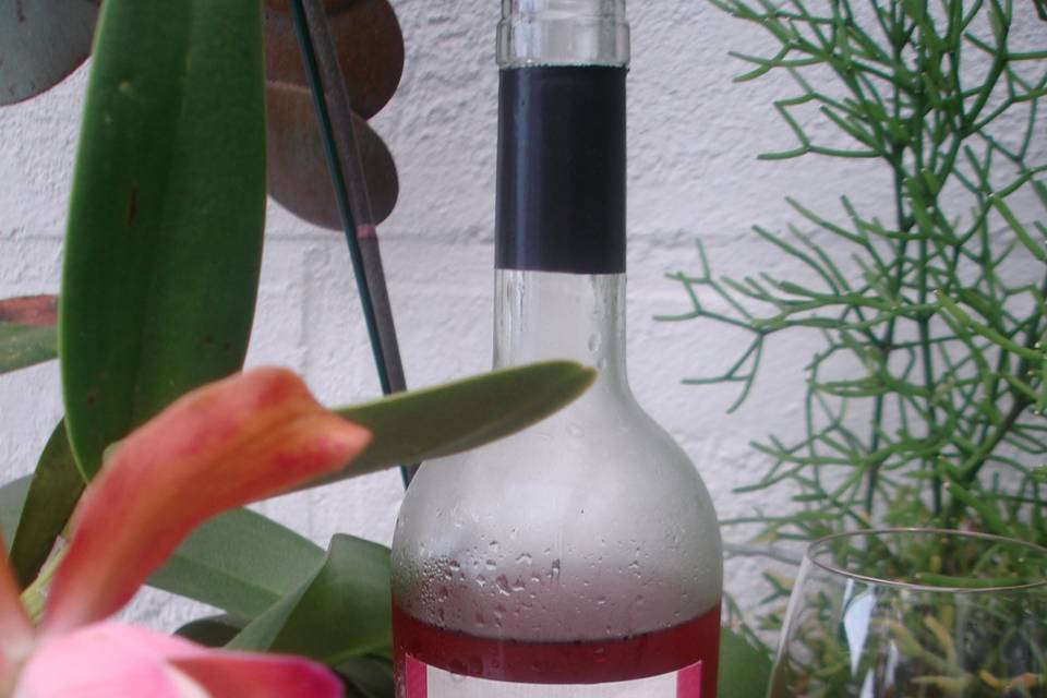 Vinho rosé