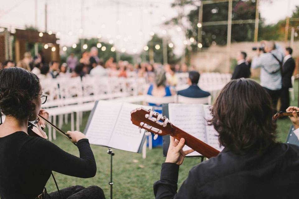 Casamento T & P