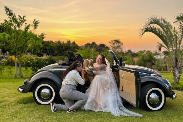 Casamento: Taubaté, SP