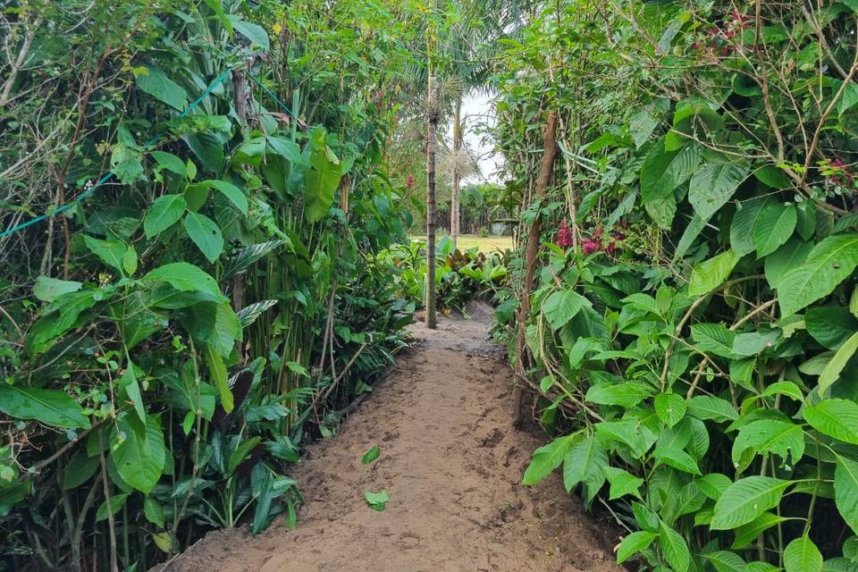 Jardins da Usina - Recepções