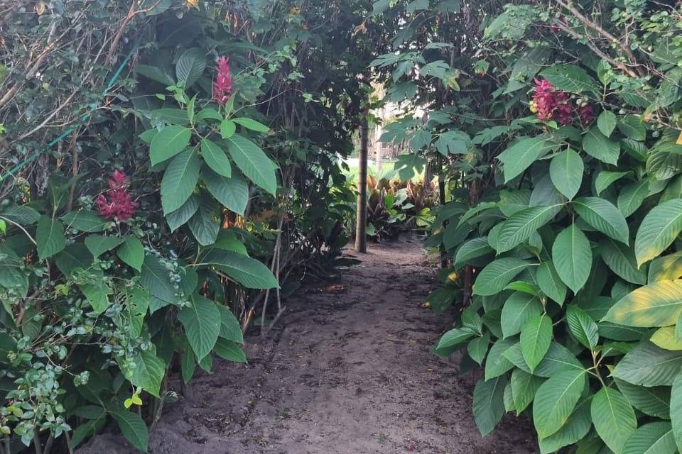 Jardins da Usina - Recepções