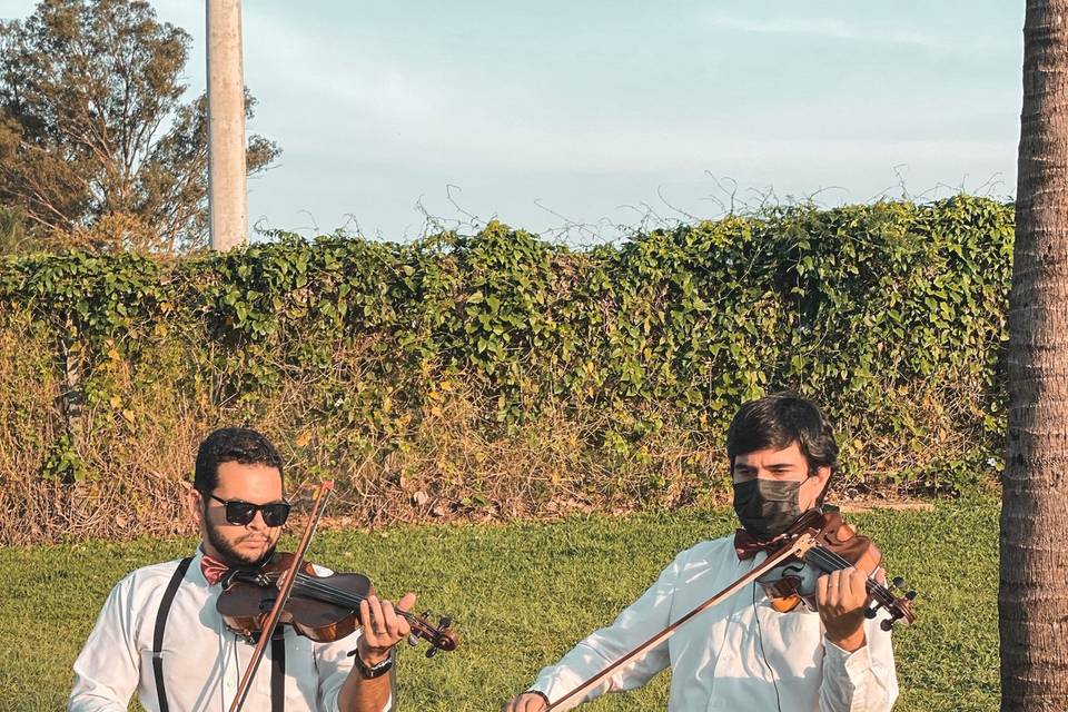 Duo de violinos