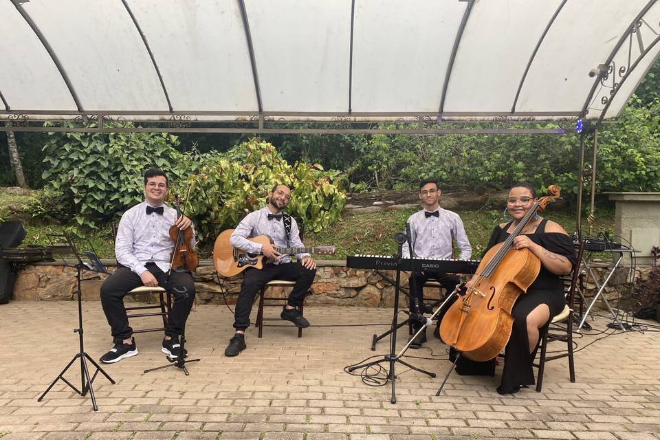 Violino, Cello, Violão e Piano