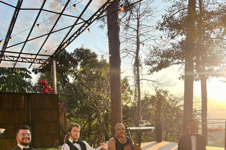 2 Violinos, Cello & Piano