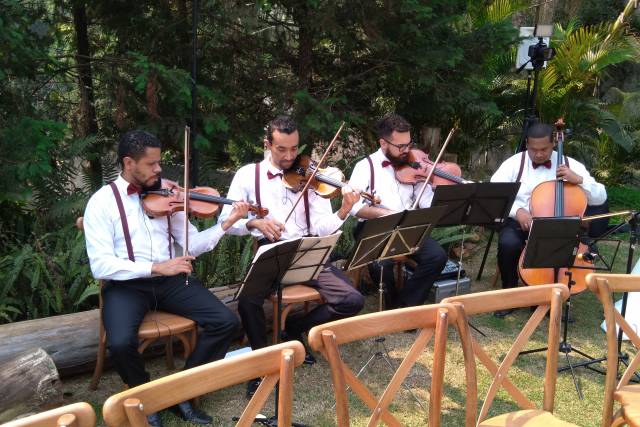 Quarteto de cordas