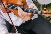 Violino