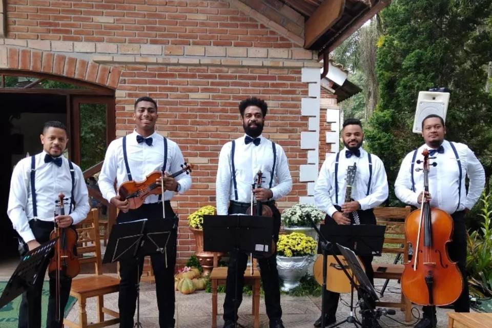 Quinteto de cordas