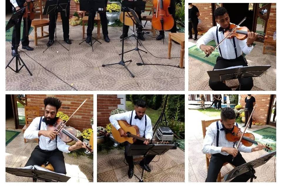 Quinteto de cordas