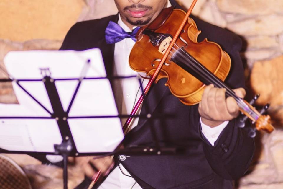Violinista