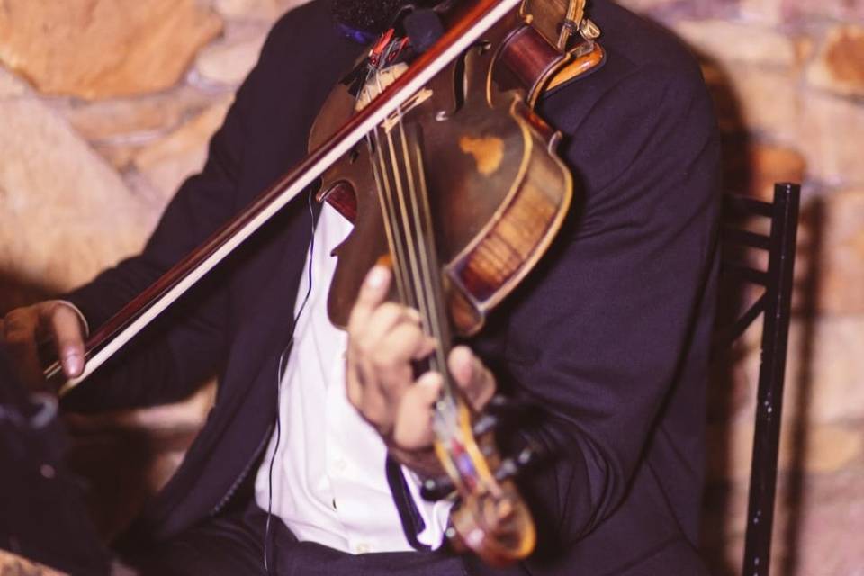 Violista (viola de arco)