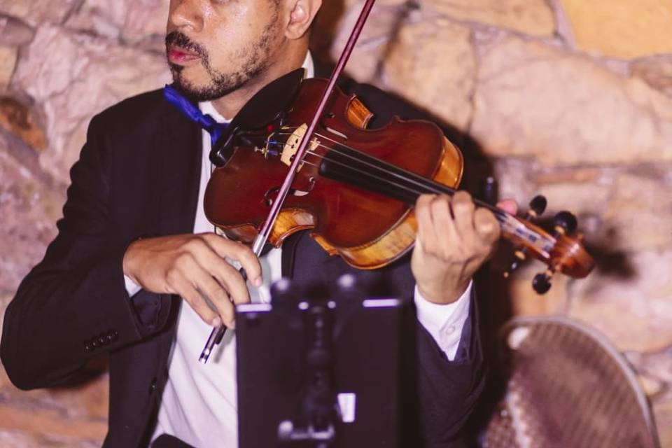 Violinista