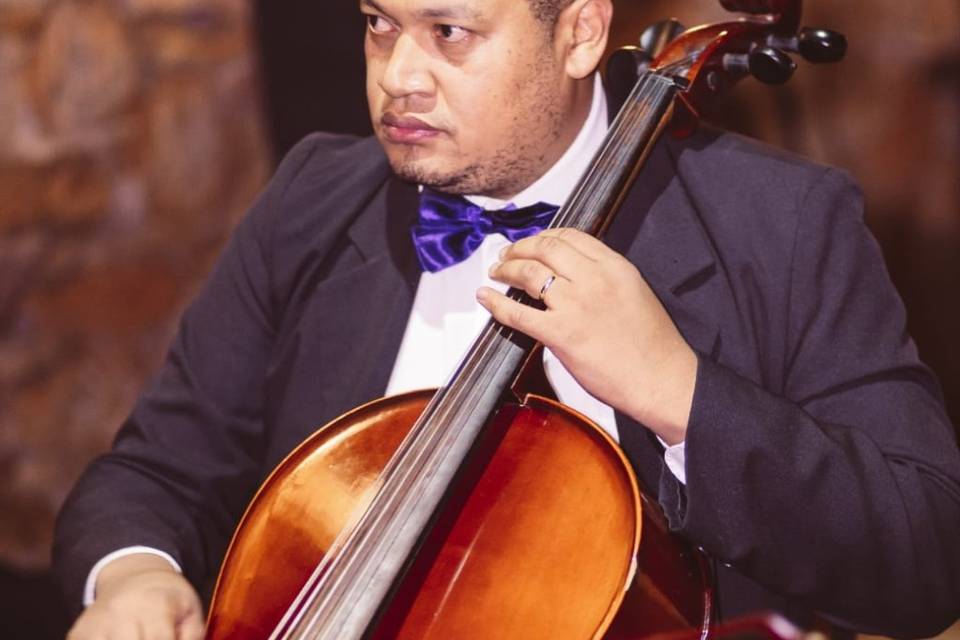 Violoncelista