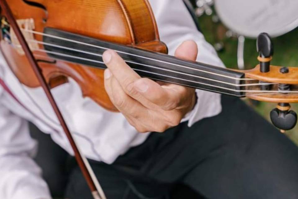Violino
