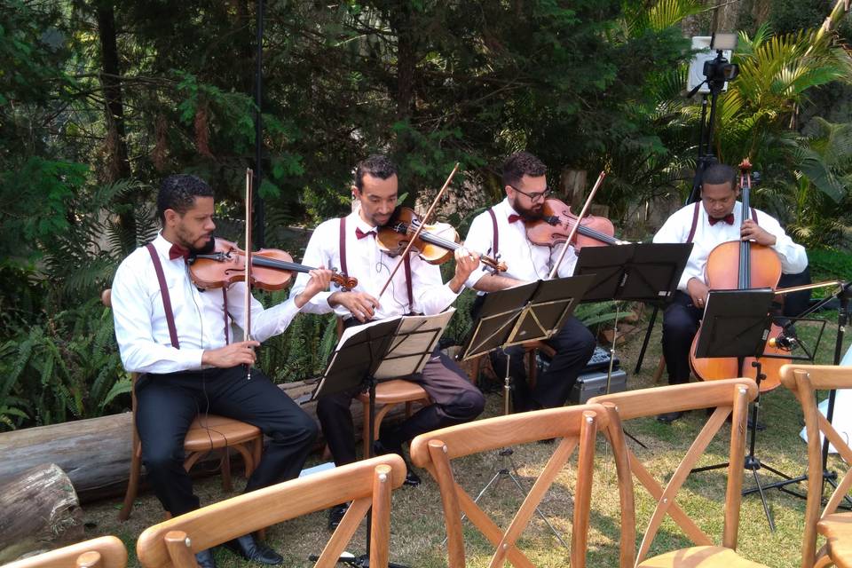 Quarteto de cordas