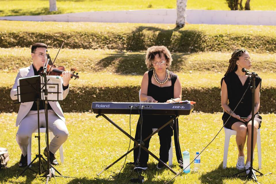 Músicos experientes