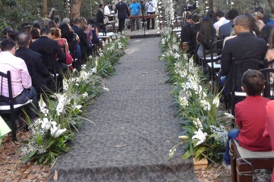 Alta Floresta Eventos