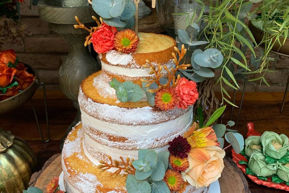 Semi Naked Cake