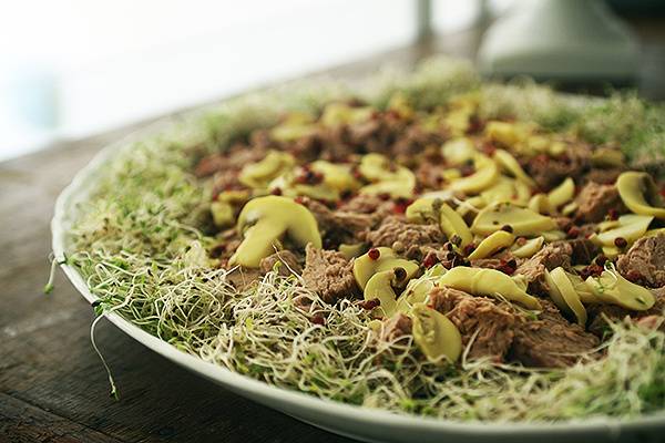 Salada de atum fresco