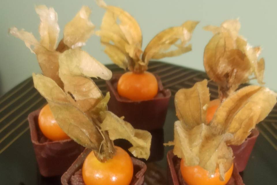 Copinho physalis