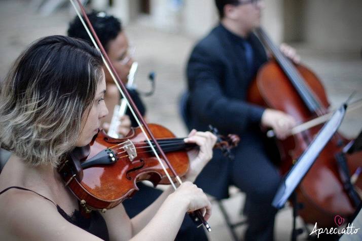 Orquestra de Casamento