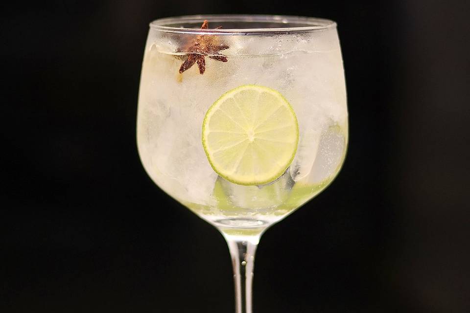 Gin Tônica