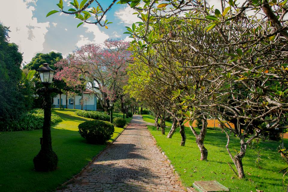 Sede 1820
