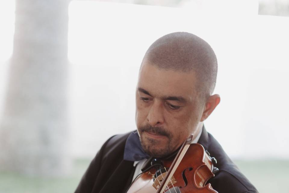 Fernando violino