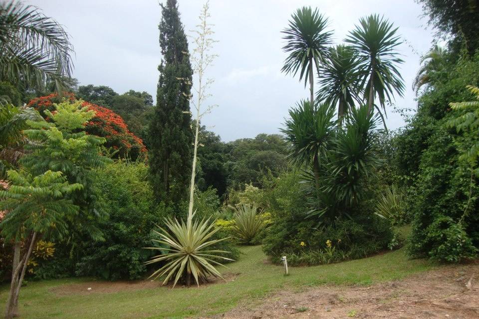 Paisagismo  muito bonito