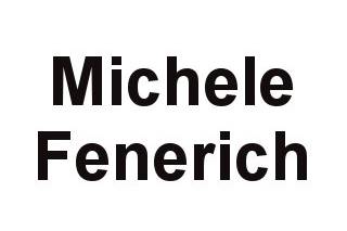 Michele Fenerich logo