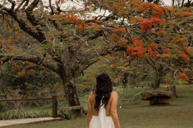 Jardim